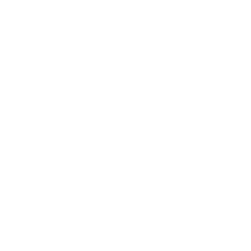 Coin Icon